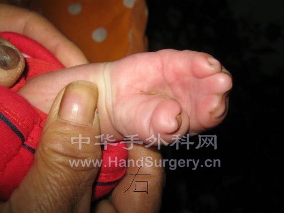 照片 584.jpg