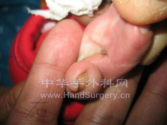 照片 586.jpg