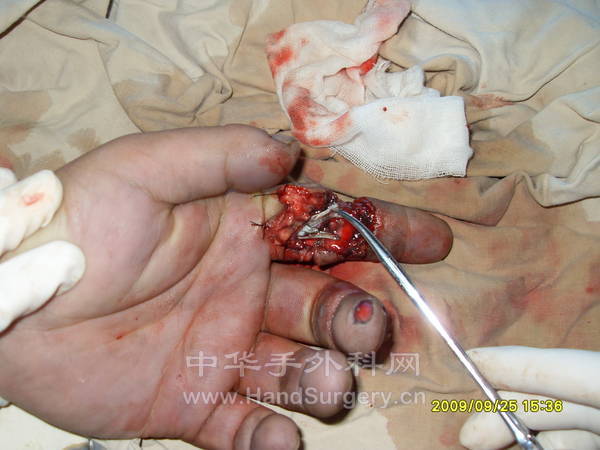 SDC14713.JPG
