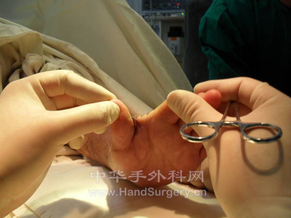 SDC10353.JPG