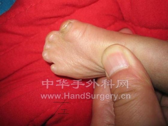 照片 590.jpg