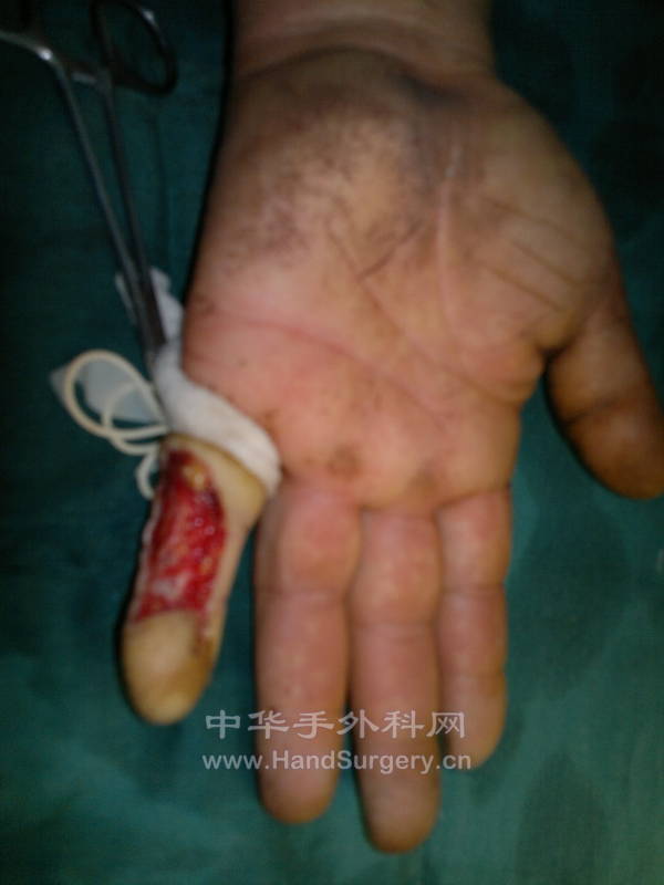 20130125311.jpg