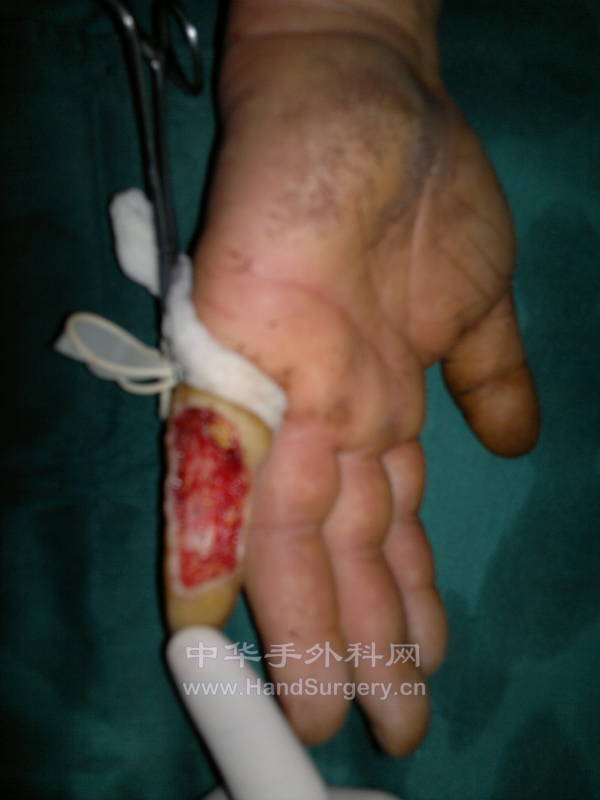 20130125312.jpg