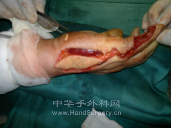 20130125313.jpg