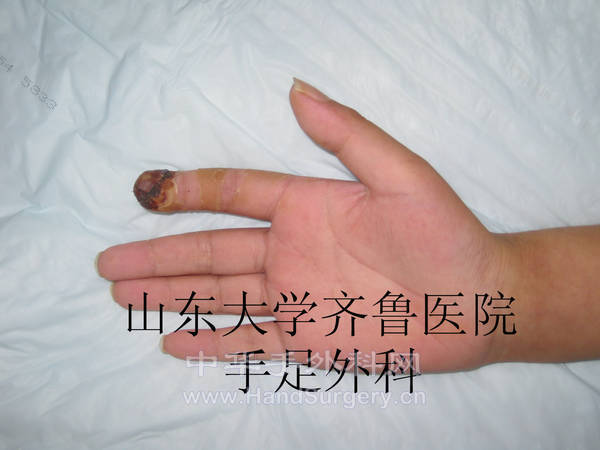 IMG_4700.jpg