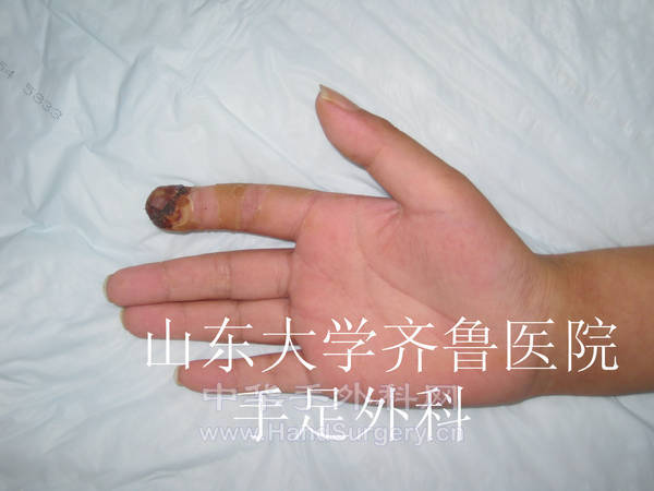 IMG_4700.jpg