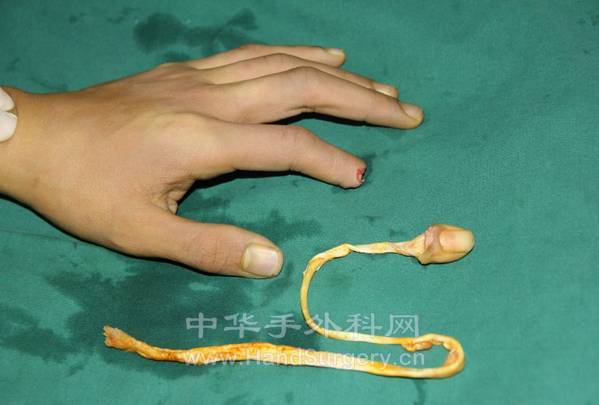 QQ截图20130214163335.png