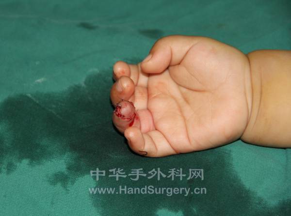 QQ截图20130218145756.png