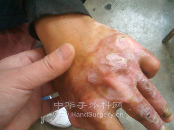 IMG_20130219_094219.jpg