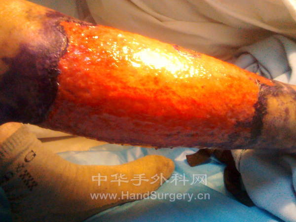 IMG_20130219_100337.jpg