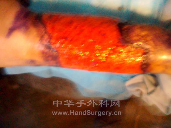 IMG_20130219_100407.jpg