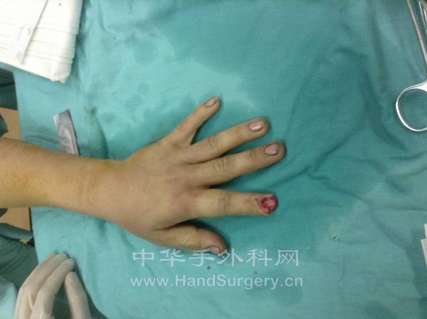Fuliang Ding 作品