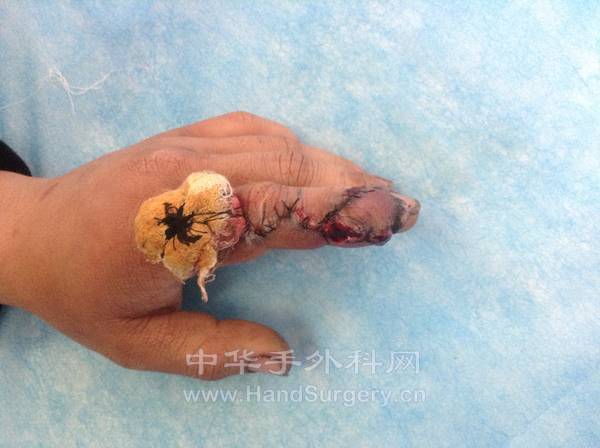 Fuliang Ding 作品