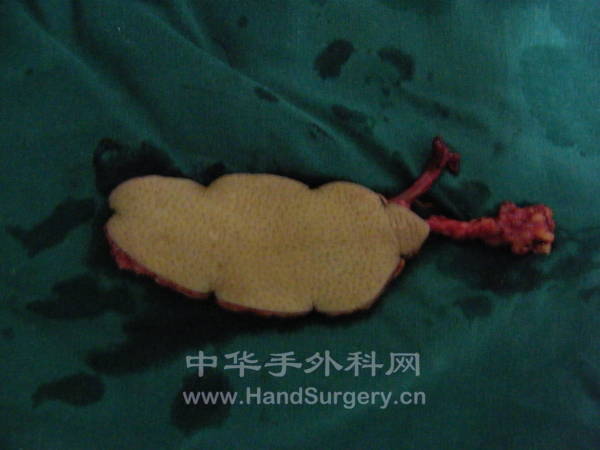 DSCF0663.JPG
