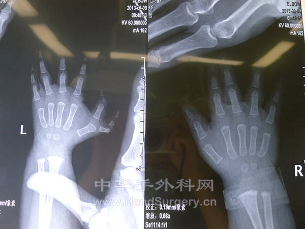 P1060610_副本.jpg