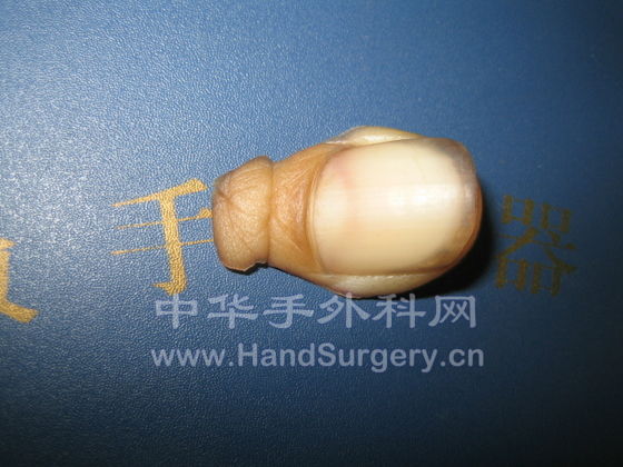 照片 286.jpg