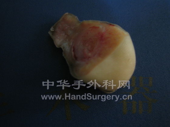 照片 289.jpg