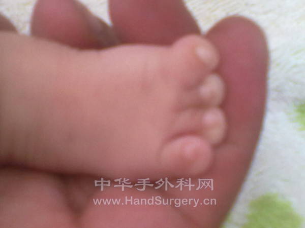 20120802272.jpg