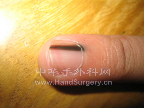 照片 630.jpg