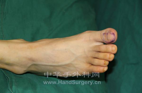 QQ截图20130407155109.png