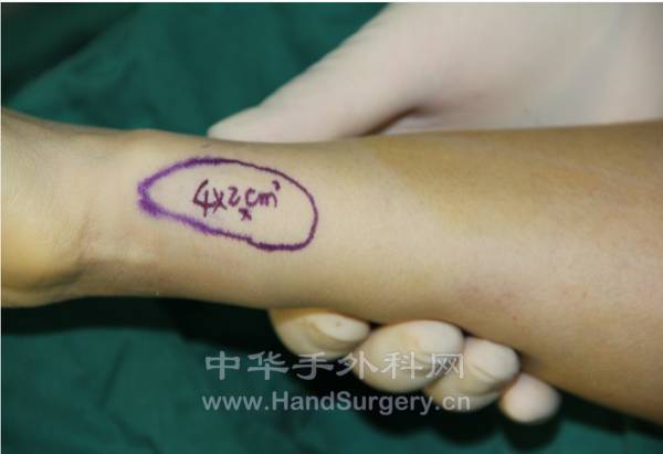 QQ截图20130407155212.png
