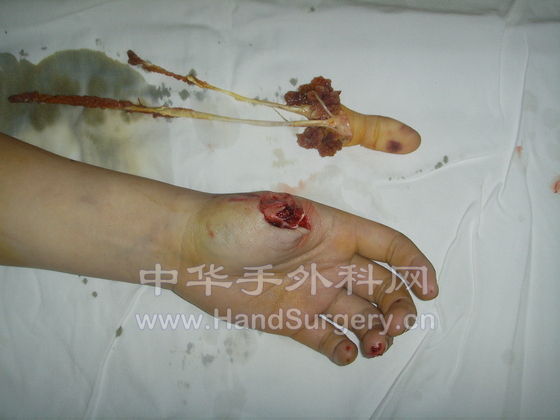 照片 041.jpg