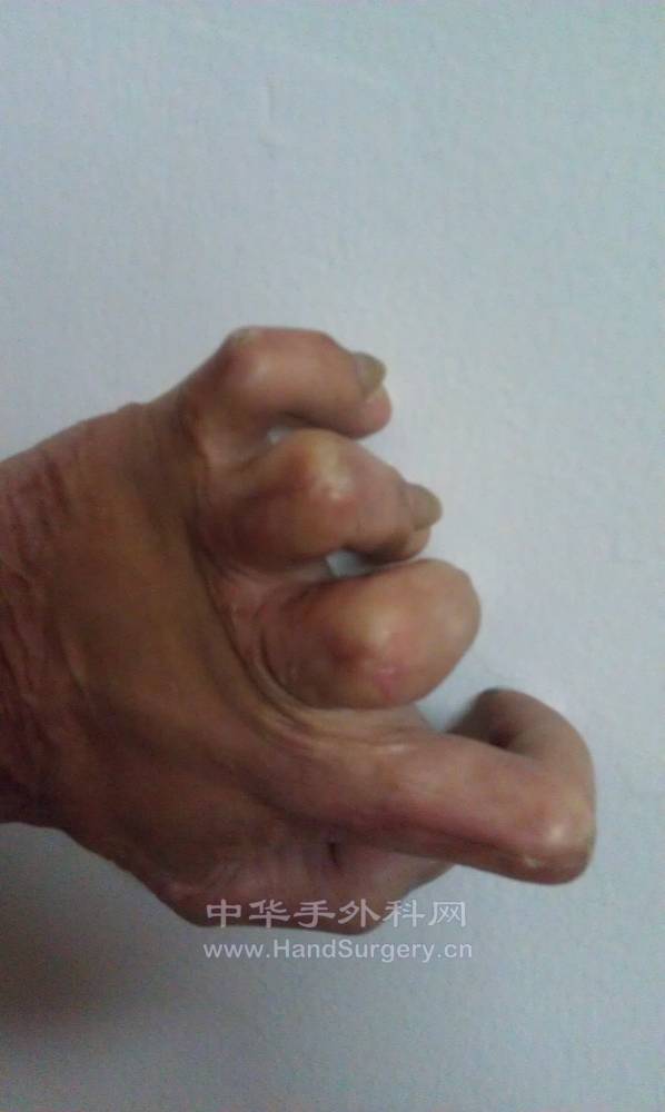 IMAG0179.jpg