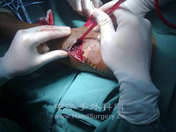 20130117319.jpg