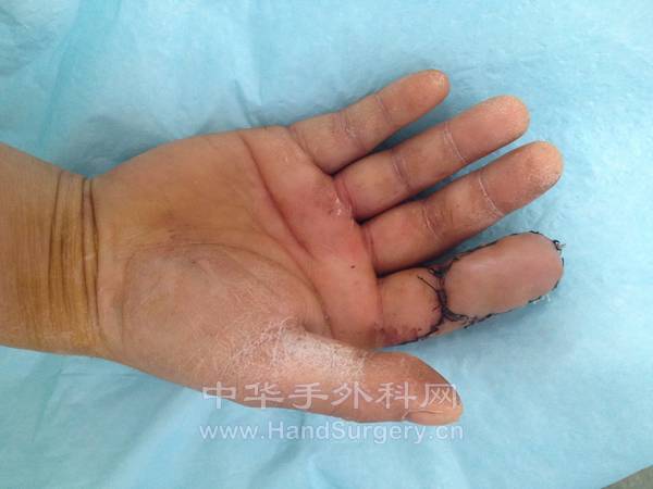 照片 2131.jpg
