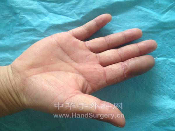 照片 2295.jpg