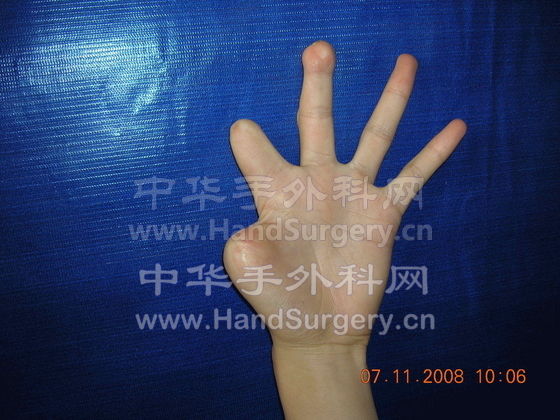 20081109_220ec22ddd705cede123iMO4zPvVvfSU.jpg.thumb[1].jpg