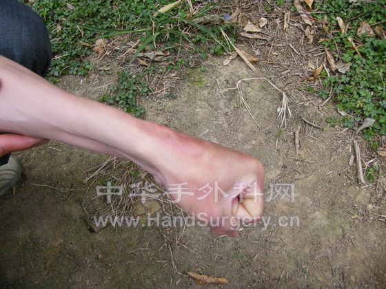 DSCF2944a.jpg