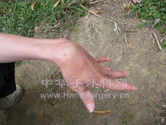 DSCF2946.jpg