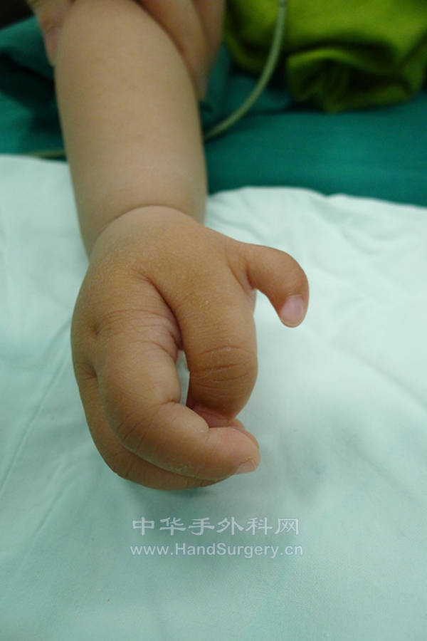 P1080272_副本.jpg