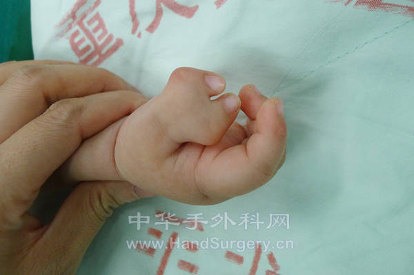 P1080288_副本.jpg