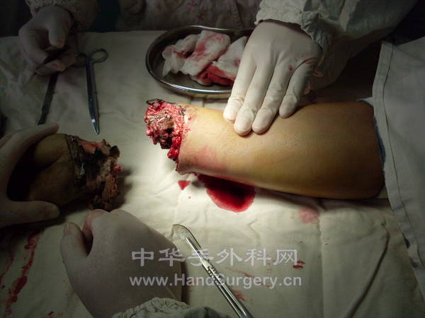 照片 439.jpg
