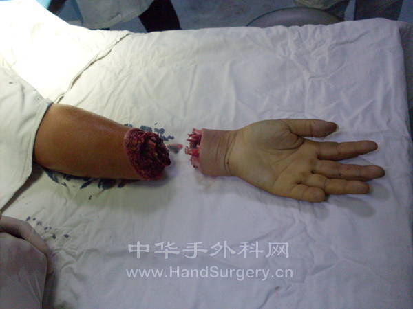 SDC12261.JPG