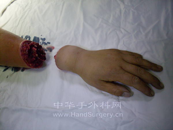 SDC12262.JPG