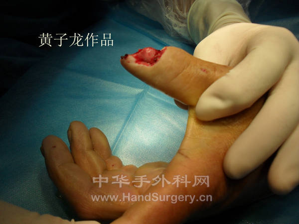 SDC10579_副本.jpg