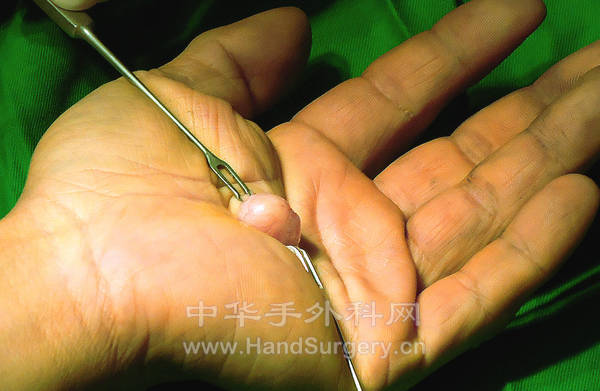 DSC00297_meitu_1.jpg