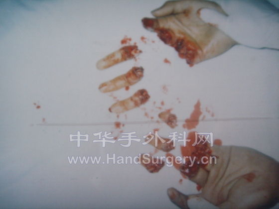 SSL12862.JPG