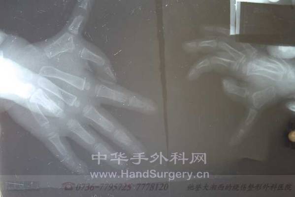 照片 433_nEO_IMG_nEO_IMG.jpg