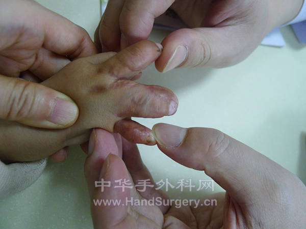 P1060436_副本.jpg