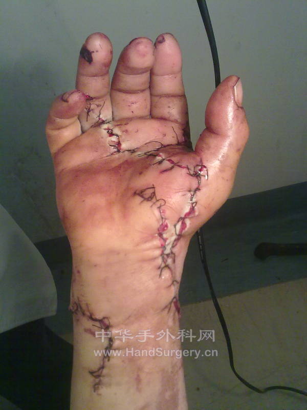 20130410742.jpg