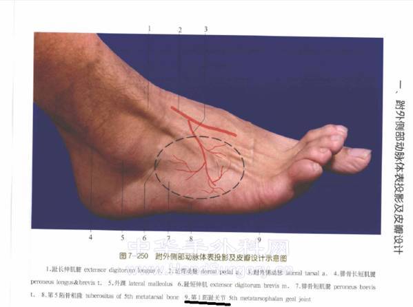 QQ截图20130525091038.png