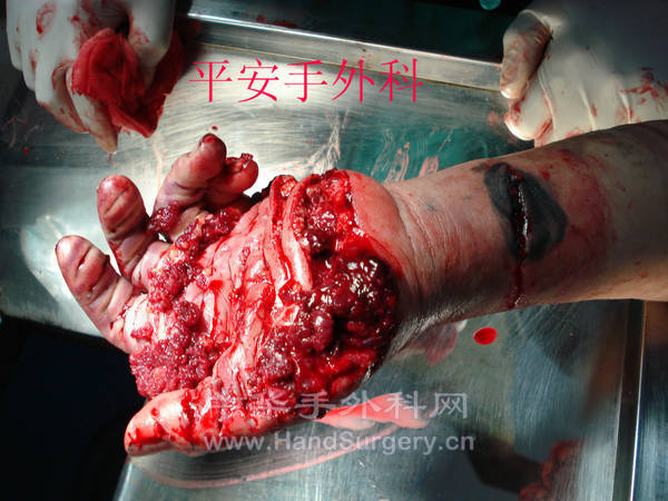 DSC03925_meitu_6.jpg