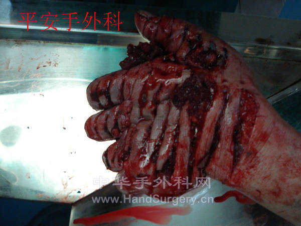 DSC03927_meitu_8.jpg