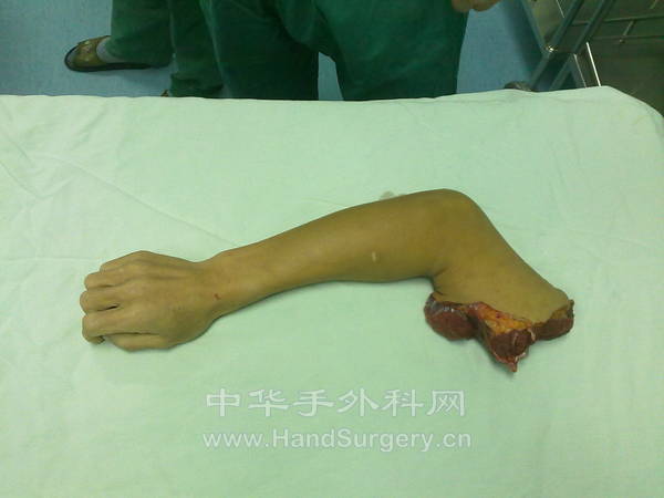 20111209361.jpg