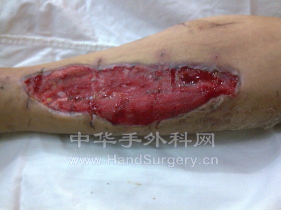 照片 349.JPG