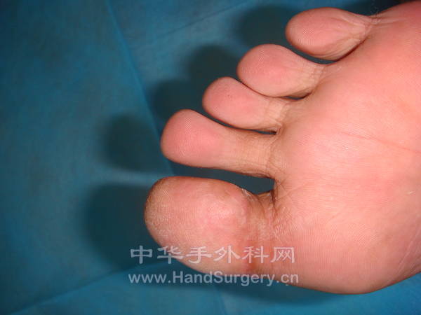 DSC02457.JPG